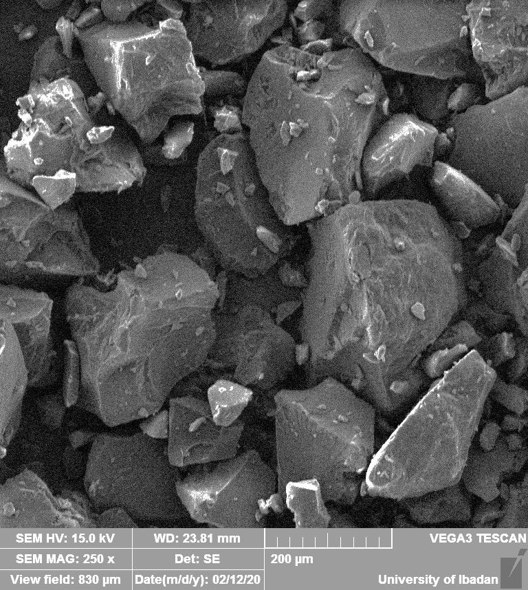 SEM of coprocessed excipient