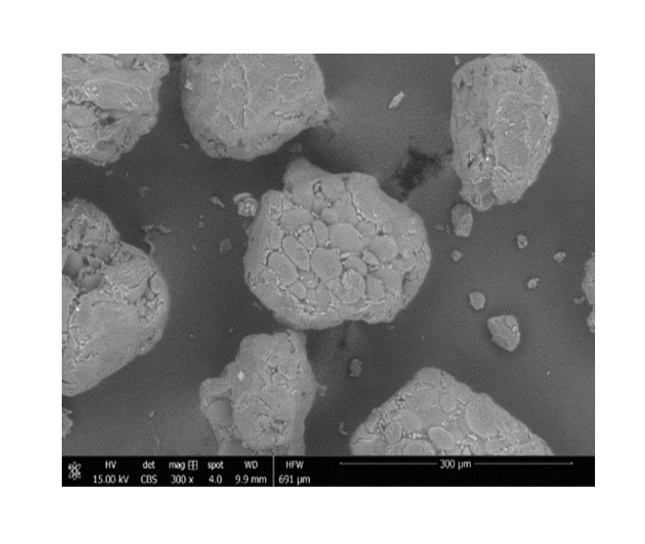 Scanning electron micrographs (SEM) of Co-processed excipient