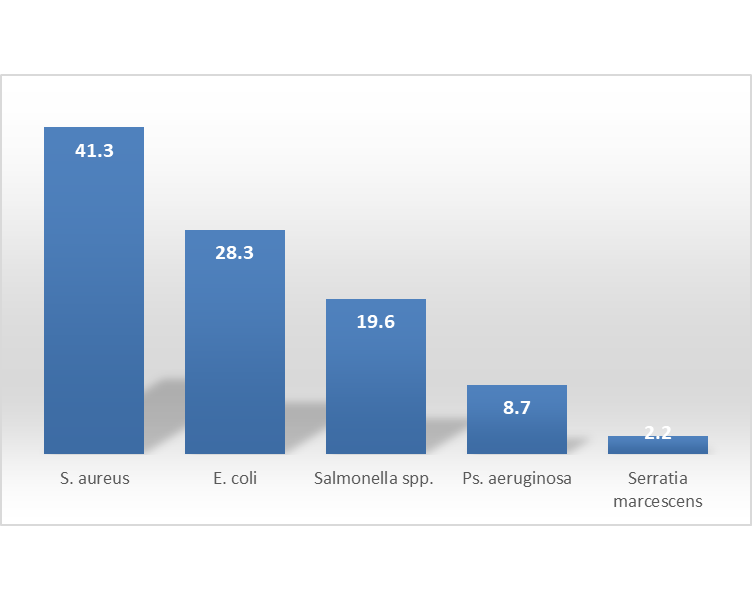 Percentage occurrence of bacterial isolates from cabbage