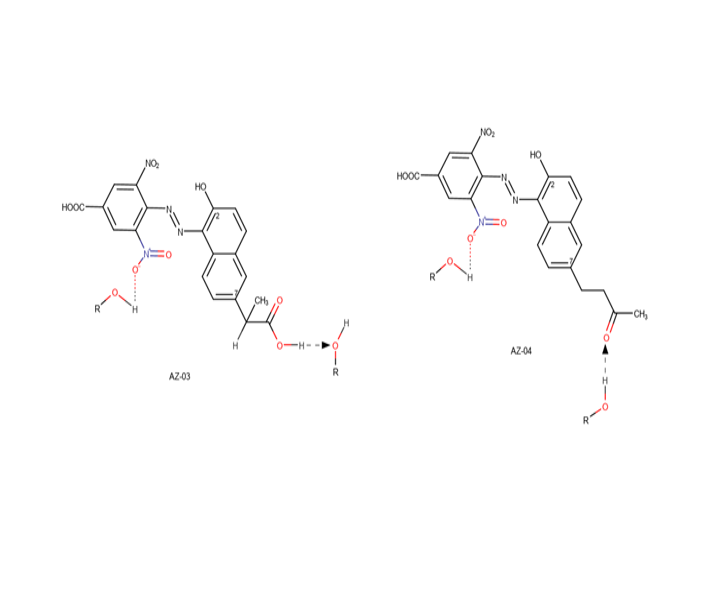 Solute-solvent interactions in amphiprotic solvents