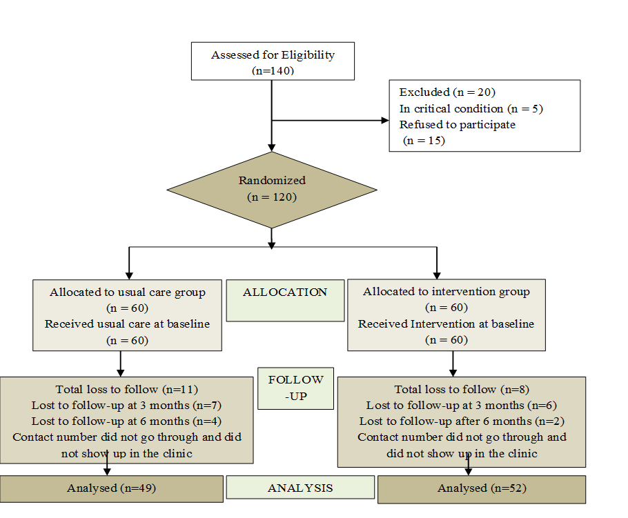 Flow of participants through the study
