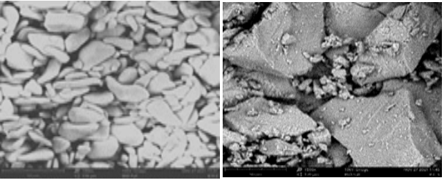 SEM images (x1500) of (a) native banana starch (b)  co-processed banana excipient