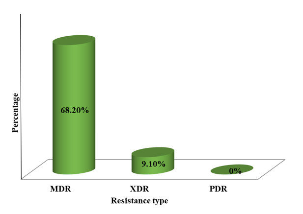Percentage Distribution of Resistance Types in the S. aureus Isolates