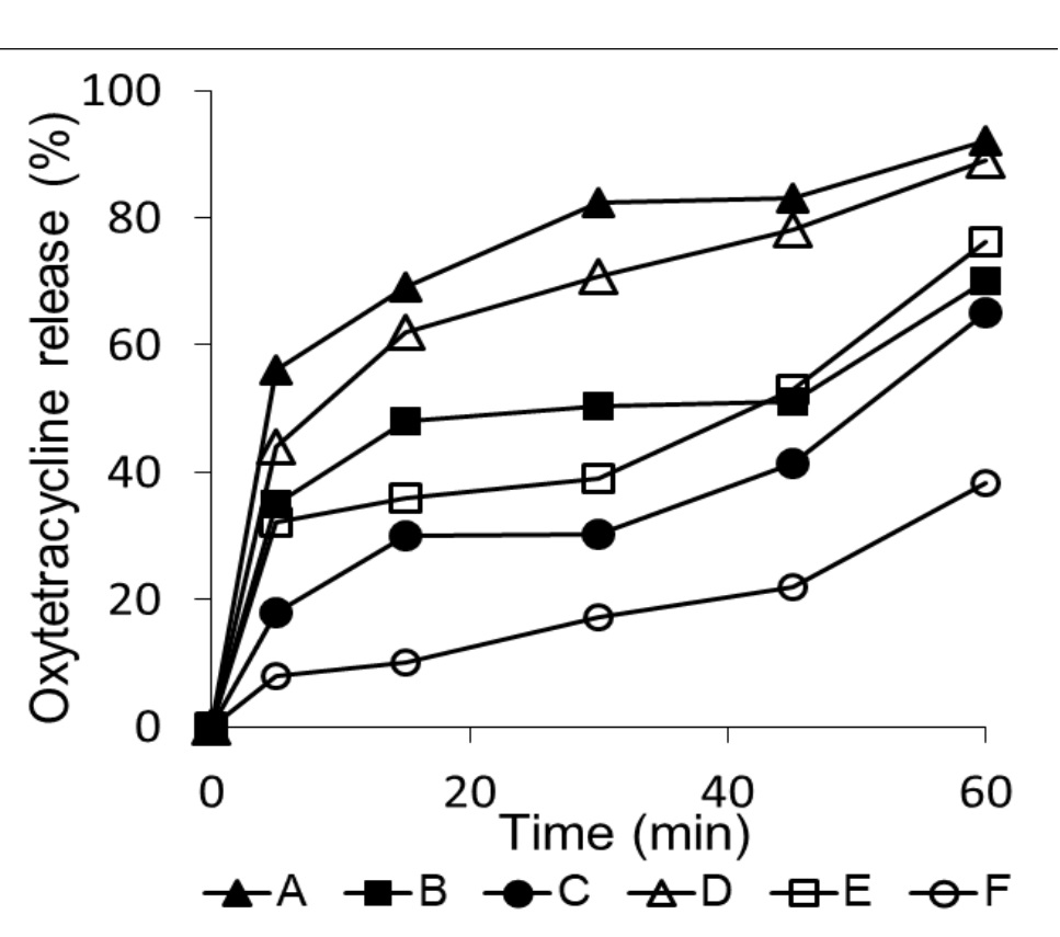 Dissolution profiles of batches (A-F) of the oxytetracycline capsules
