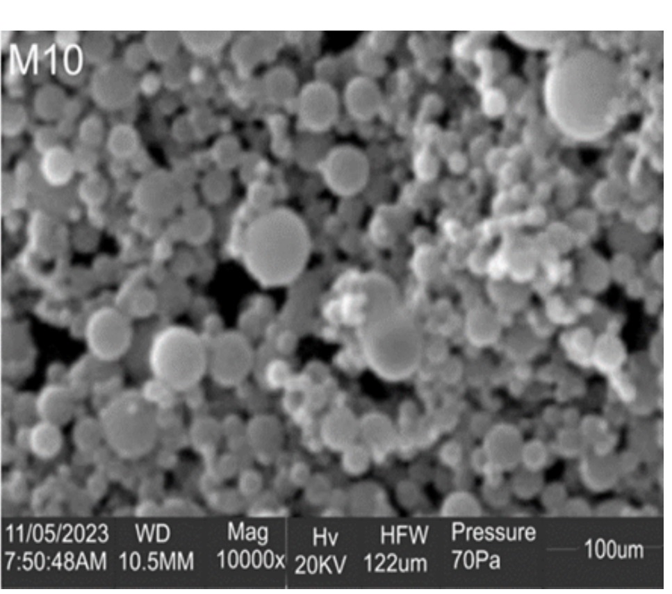 Scanning Electron Micrograph for Ibuprofen and solid dispersion formulations 