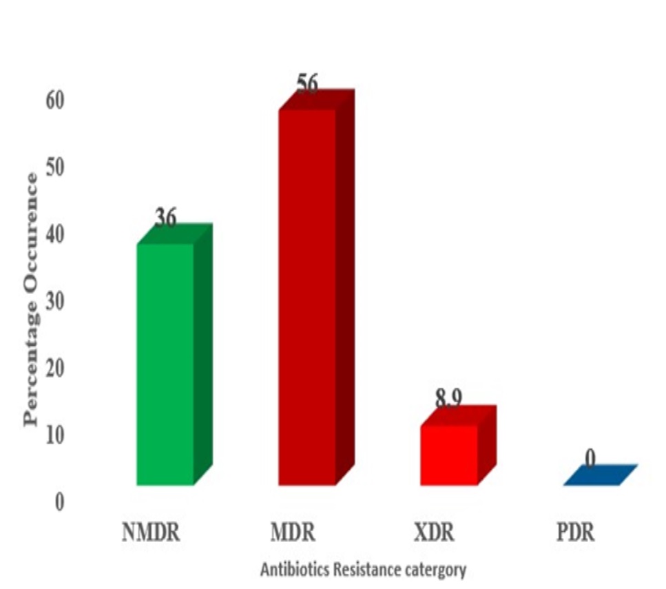 Antibiotics Resistance category of uropathogenoc S. aureus isolates