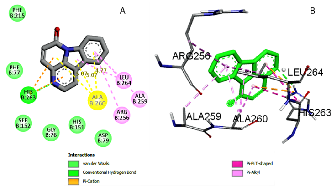 A – 2D and B – 3D simulations of supramolecular interactions at the active site of the colipase- free human Pancreatic Lipase in complex with canthin-6-one