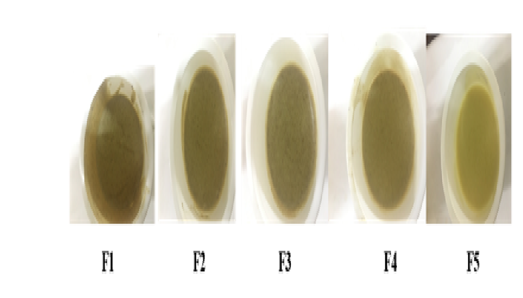 Picture of the ointment formulations