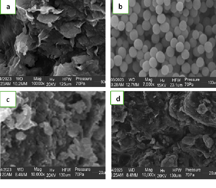 SEM micrographs of (a) Naproxen (b) Sweet potato starch (c) HPMC (d) solid dispersion S6